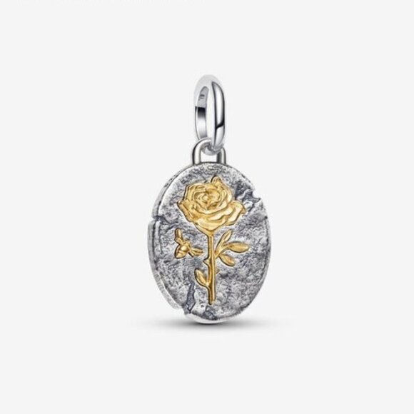 Pandora Rose Medallion Charm - Picture 1 of 6